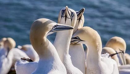 风电股集体走强，哪些暖风在吹？机构：未来可能量利齐升