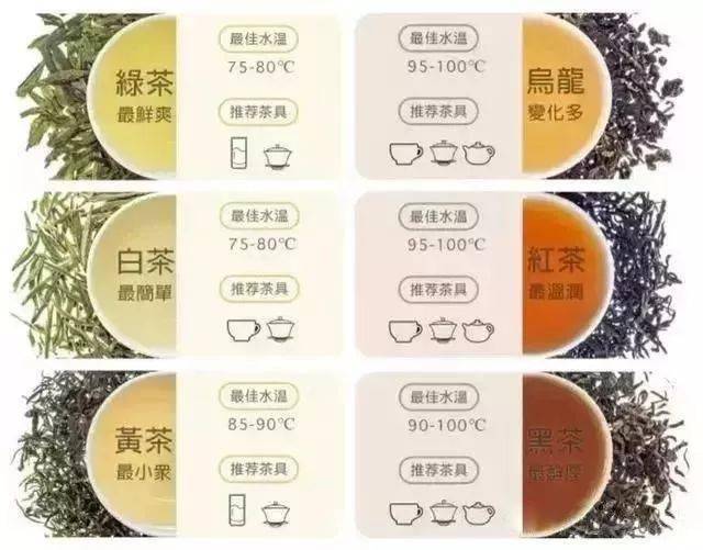 茶叶入门知识
