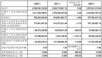 上海大智慧股份有限公司2022年度报告摘要