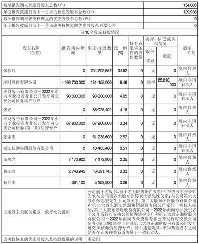 上海大智慧股份有限公司2022年度报告摘要