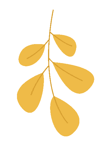 社保卡到期<strong></p>
<p>农行卡贵金属换卡</strong>，需要马上换新卡吗？