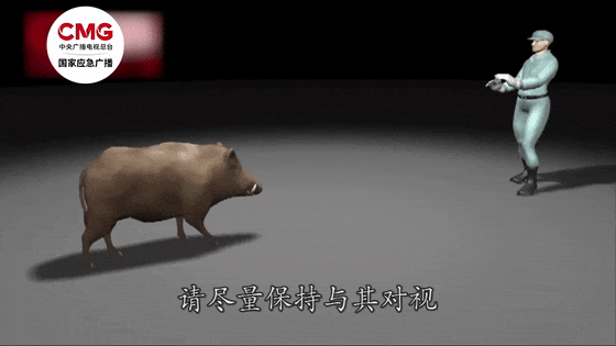 街头横冲直闯<strong></p>
<p>贵金属模拟试题</strong>，抱娃女子被撞伤，警方：已被特警击毙