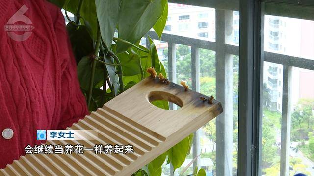“可以蒸蛋”！昆明一女子家中搓衣板上长菌<strong></p>
<p>现代贵金属分析方法</strong>，品种竟是……