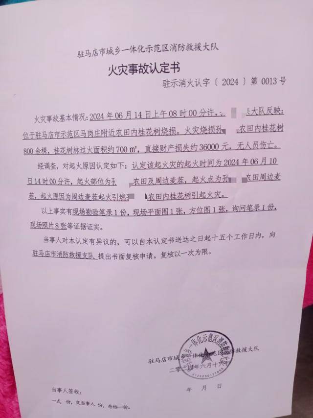 群众近千棵桂花树被烧死<strong></p>
<p>网易贵金属找代理</strong>，为何不立案？驻马店回应