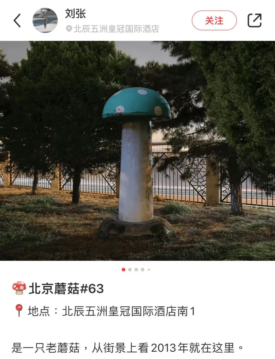 北京街头2米高神秘“蘑菇”<strong></p>
<p>成都贵金属银行</strong>，你见过吗？网友大胆猜想……