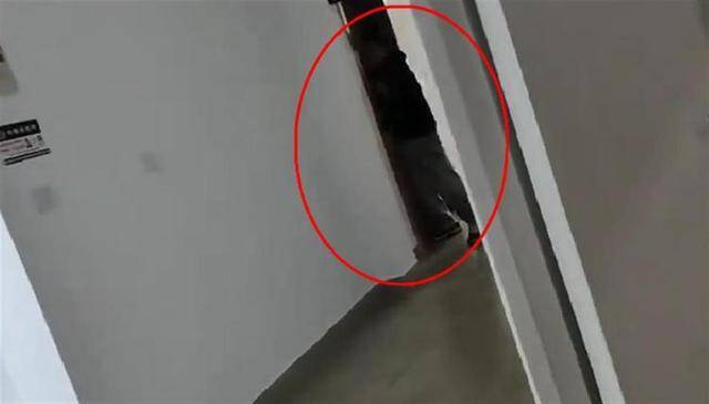 上海一高校男生晚上撞开女生寝室门<strong></p>
<p>郑州贵金属地方</strong>，校方：醉酒后走错了