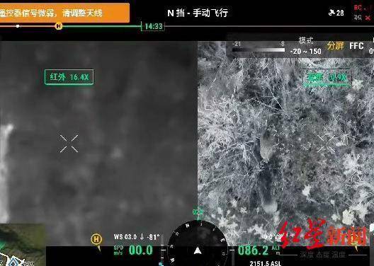 揭秘“野猪猎捕队”丨海拔3000米高山密林<strong></p>
<p>融祥贵金属诈骗</strong>，记者跟队直击猎捕野猪全过程