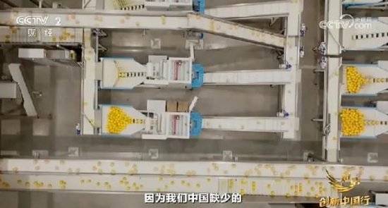 2024年末央视再度专访钟睒睒<strong></p>
<p>贵金属价格今日pt</strong>，背后有何深意？