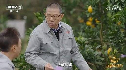 2024年末央视再度专访钟睒睒<strong></p>
<p>贵金属价格今日pt</strong>，背后有何深意？