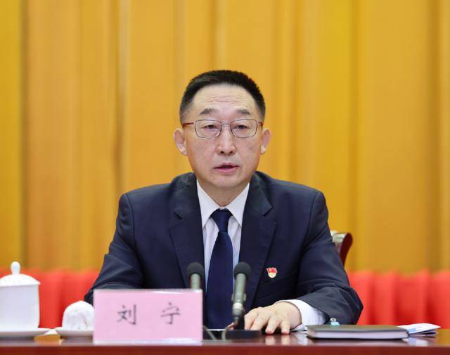 刘宁任河南省委书记<strong></p>
<p>贵金属可以入账吗</strong>，楼阳生因年龄原因不再担任