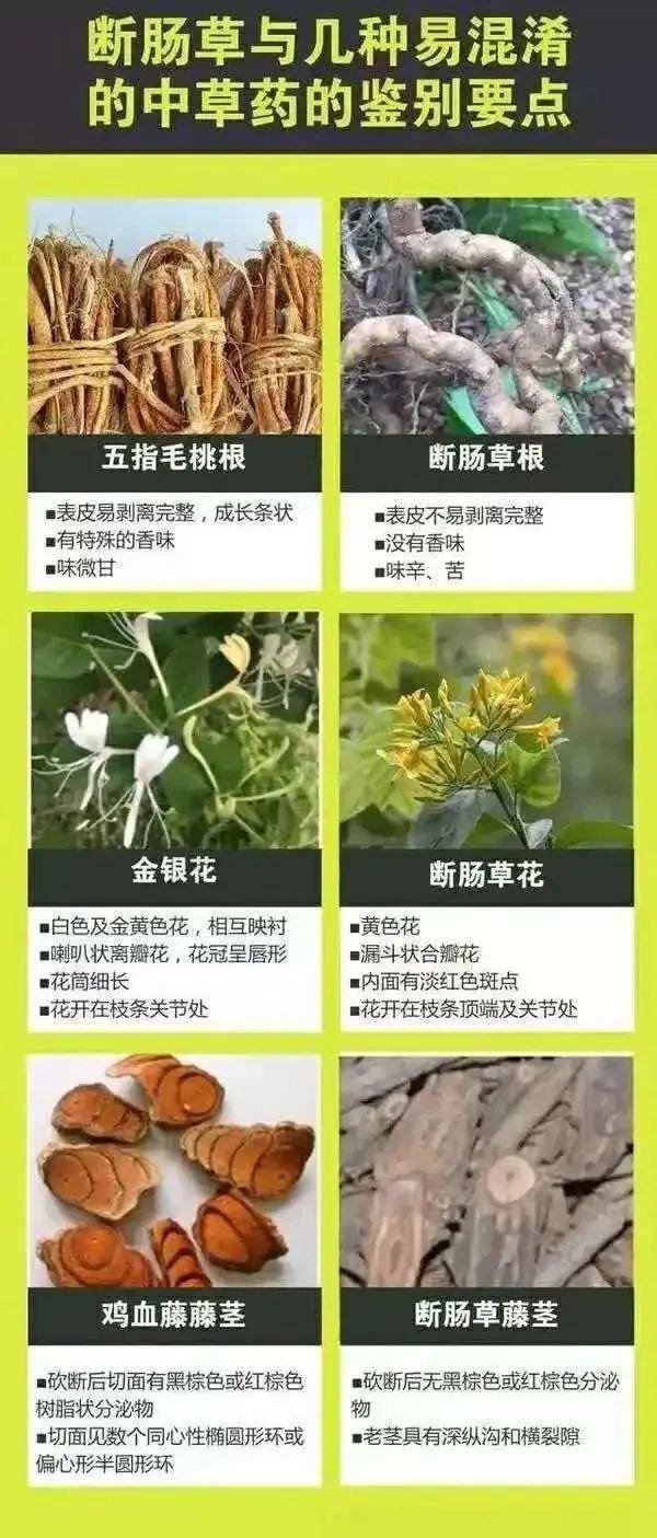 广东一老人买药材煲汤中毒身亡 当地：店铺误售断肠草<strong></p>
<p>静海贵金属检测中心</strong>，老板被拘留
