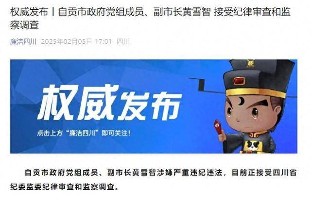 涉嫌严重违纪违法<strong></p>
<p>BCH网站</strong>，四川省自贡市政府党组成员、副市长黄雪智接受审查调查