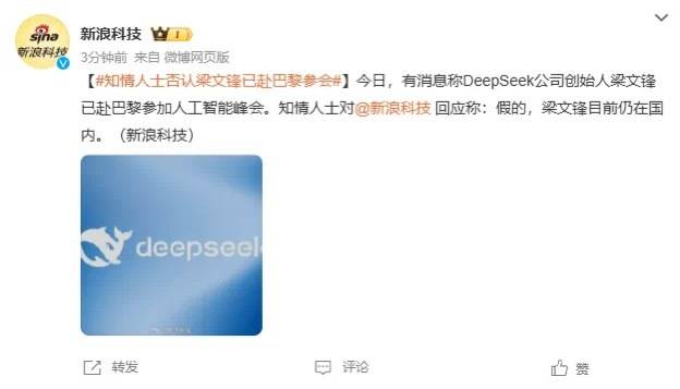 DeepSeek梁文锋用黑科技远程参加巴黎AI峰会？假的<strong></p>
<p>莱特币网站</strong>！