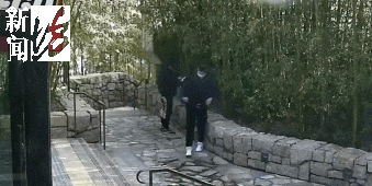 太猖狂！事发上海迪士尼<strong></p>
<p>BSV投资</strong>，7人被刑拘