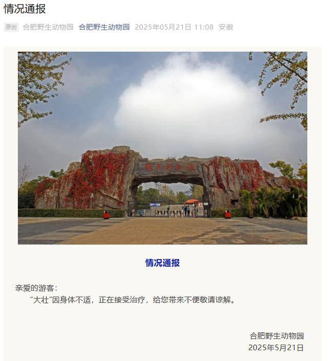 网红猴“大壮”突然离世<strong></p>
<p>DOTAPP下载</strong>！曾因方脸“丑”出圈