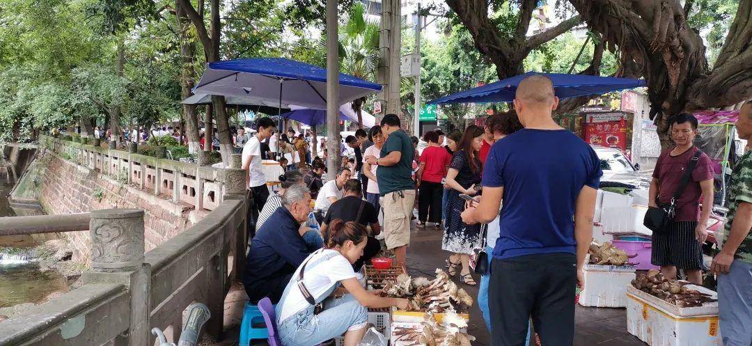 “天价”鸡枞调查：最贵卖到1800元/公斤！雨水少致产量低<strong></p>
<p>币安币APP下载</strong>，多地价高客少