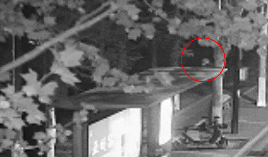 江苏一男子戴仿真“人皮”面具入室盗窃<strong></p>
<p>币安币APP下载</strong>，流窜多个小区作案，涉案金额达15万余元