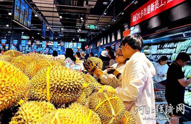 榴莲卖出1吨多<strong></p>
<p>LTCAPP下载</strong>！永辉河北首家胖东来调改店开业首日销售额同比增10倍