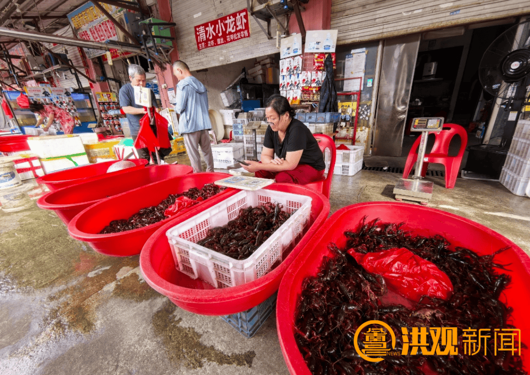 价格腰斩<strong></p>
<p>BSVAPP下载</strong>！13元/斤！南昌正大量上市