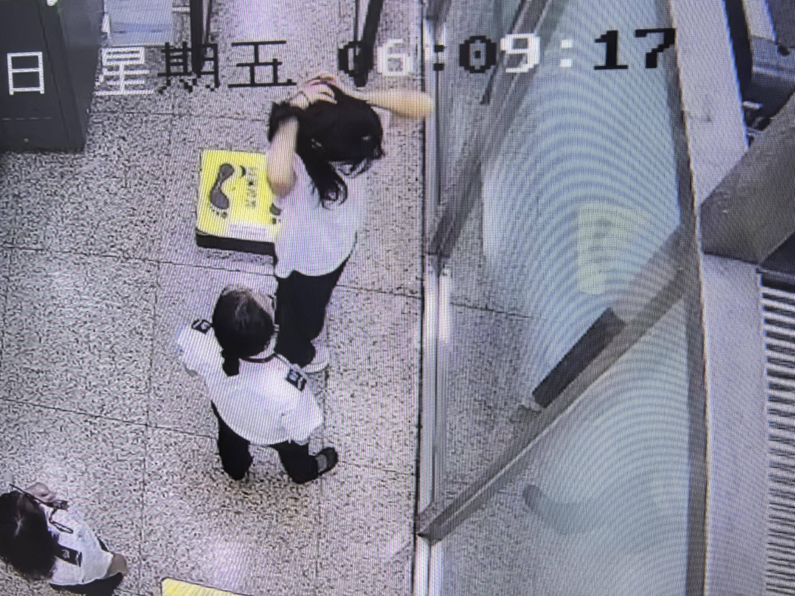 女子将宠物乌龟藏在蝴蝶结盘发内<strong></p>
<p>IPFSAPP下载</strong>，过安检乘飞机时被查 警方：批评教育