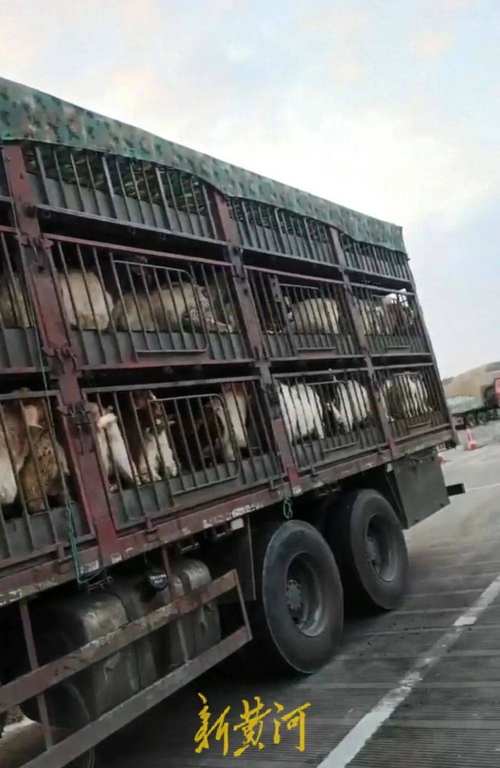 江苏养殖户称543只羊运到贵州遭羊贩盗卖<strong></p>
<p>OKEx行情</strong>，当地警方立案又撤案，镇政府：双方合作养羊，账目存在分歧引发纠纷