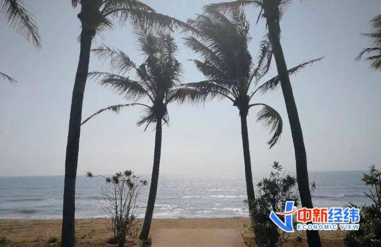 海南全岛封关时间定了<strong></p>
<p>DOT行情</strong>！啥是封关？与你有啥关系？