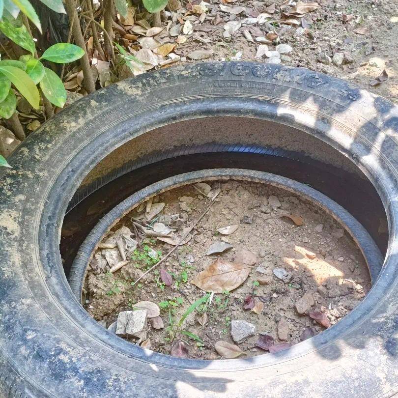青岛疾控最新提醒：全民行动<strong></p>
<p>BNB行情</strong>！翻盆倒罐、清除积水！