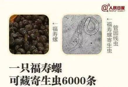 别吃！寄生虫多达6000条！浙江一地大量出现<strong></p>
<p>火币价格</strong>，看到立刻上报