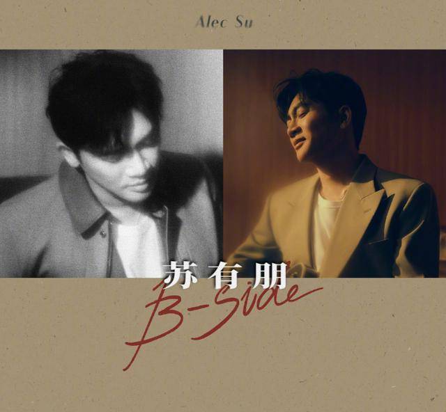 苏有朋音乐会普通票不能合影<strong></p>
<p>抹茶价格</strong>，本人回应
