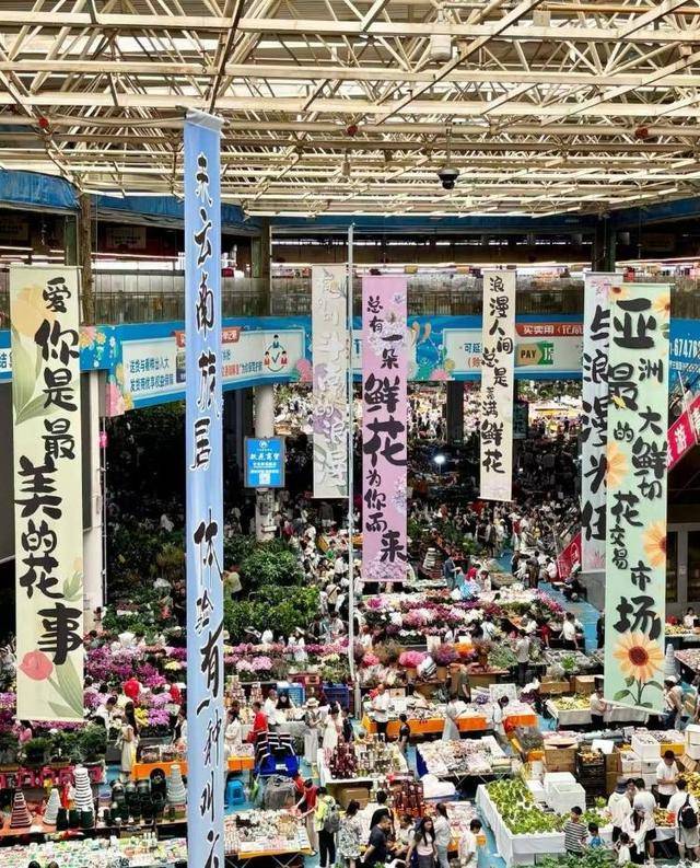 七夕不送玫瑰改送花菜<strong></p>
<p>抹茶价格</strong>！这一届年轻人“反套路”重新定义浪漫