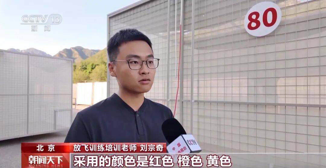 明天将放飞8万羽和平鸽、8万只气球<strong></p>
<p>BTC价格</strong>，揭秘！
