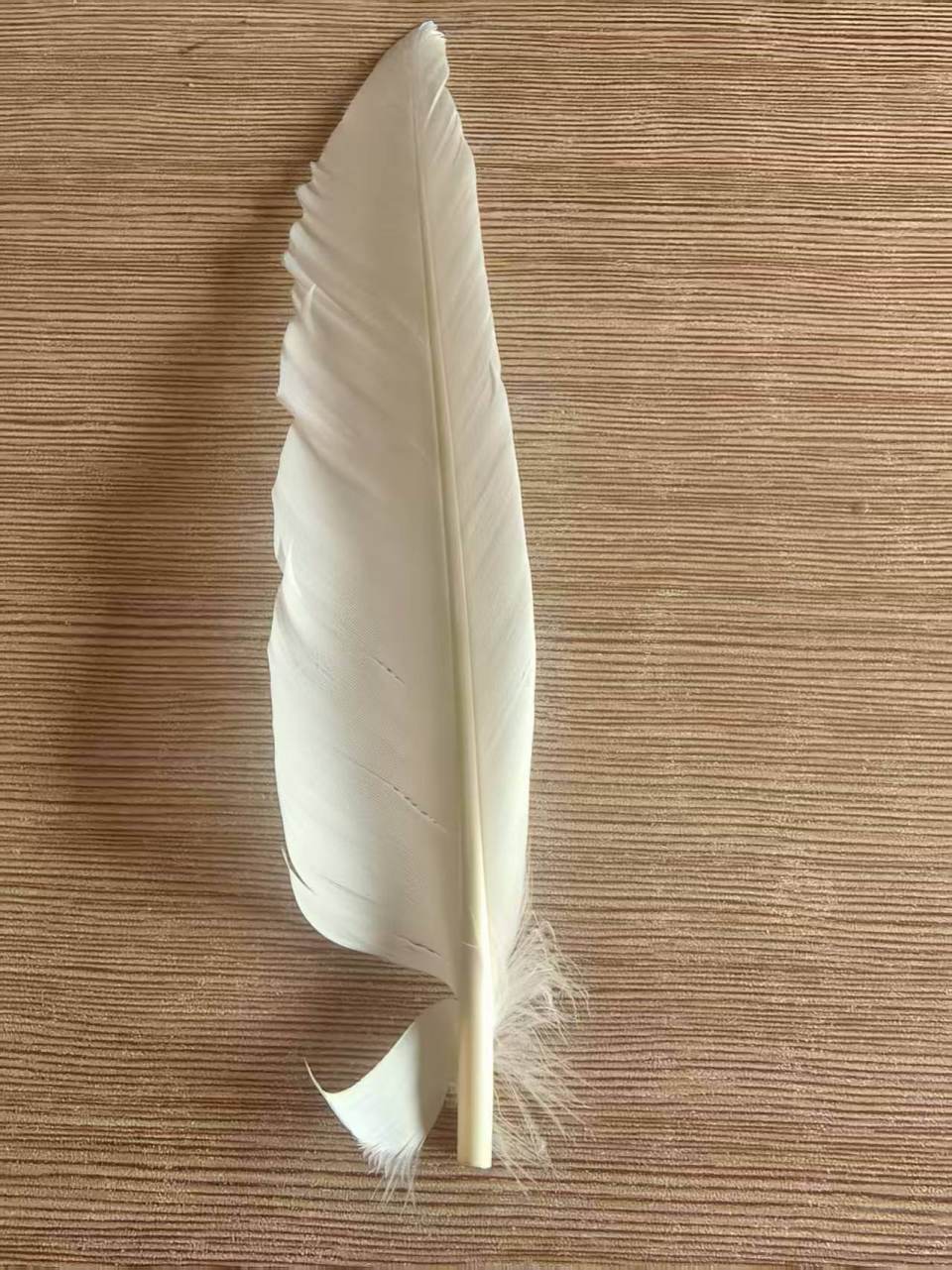 羽毛球又又又涨价<strong></p>
<p>BTC价格</strong>，球友破防：月花三千扛不住，打球人的天塌了