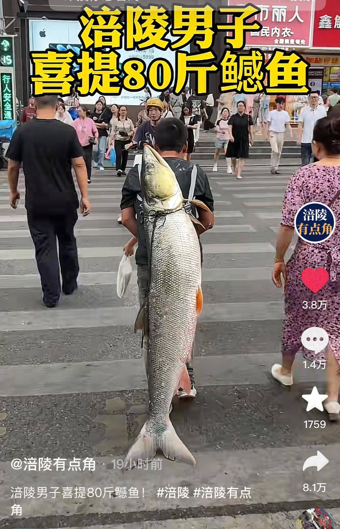 重庆一男子钓上79斤鳡鱼后<strong></p>
<p>XRP价格</strong>，背着鱼在闹市当“显眼包”穿行20分钟，本人：有1.64米长