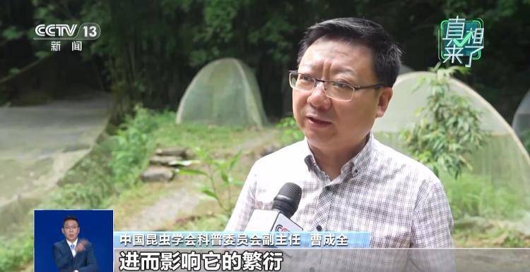 网传萤火虫濒临灭绝<strong></p>
<p>DOT价格</strong>，是真的吗？