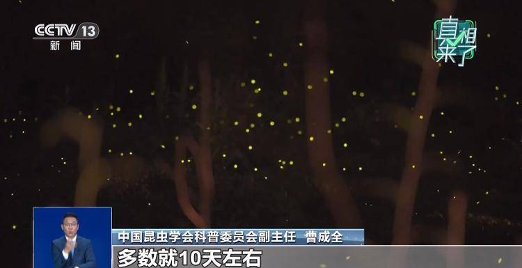 网传萤火虫濒临灭绝<strong></p>
<p>DOT价格</strong>，是真的吗？