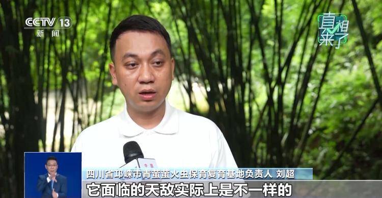 网传萤火虫濒临灭绝<strong></p>
<p>DOT价格</strong>，是真的吗？