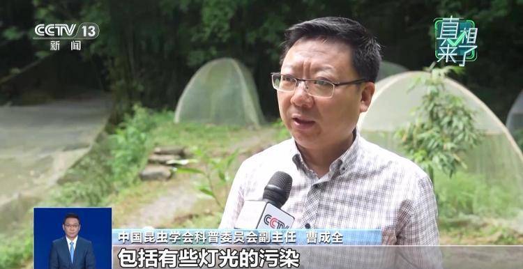 网传萤火虫濒临灭绝<strong></p>
<p>DOT价格</strong>，是真的吗？