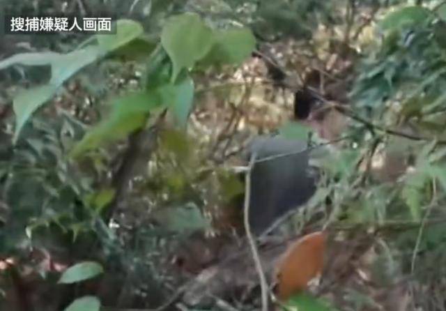 湖南一男子发疯行凶致3死1伤<strong></p>
<p>波卡币价格</strong>，研究生制止被刺身亡