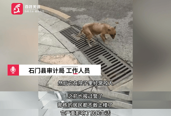 保安称“经常咬人”打死流浪犬<strong></p>
<p>波卡币价格</strong>，居民上门讨说法：这个门卫穷凶极恶
