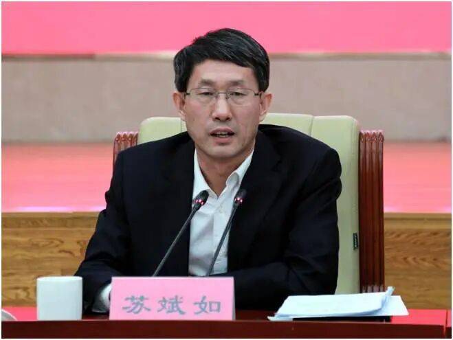 首次披露：苏斌如<strong></p>
<p>艾达币价格</strong>，已落马
