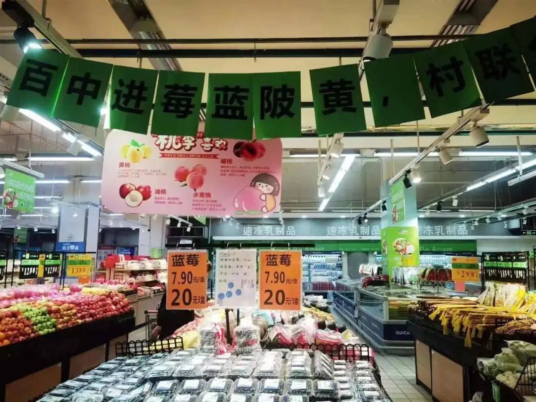 国企联村·强村富民｜一颗蓝莓激活乡村振兴<strong></p>
<p>比特现金价格</strong>，书写荒坡变宝地新篇