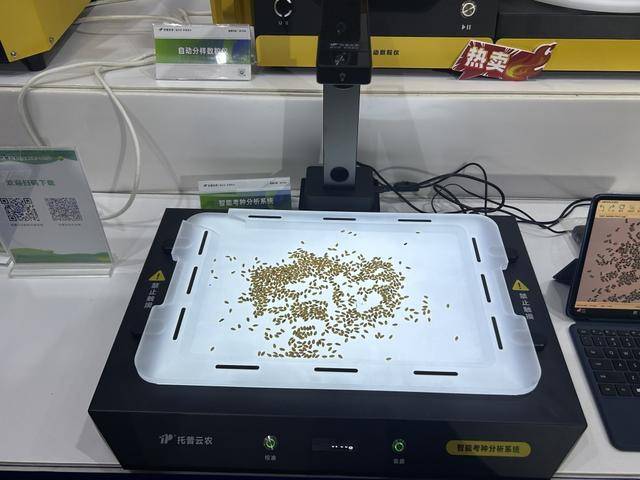 紫色向日葵、多彩胡萝卜、双色火龙果亮相青岛<strong></p>
<p>比特现金价格</strong>，种子盛会变身“未来食物实验室”