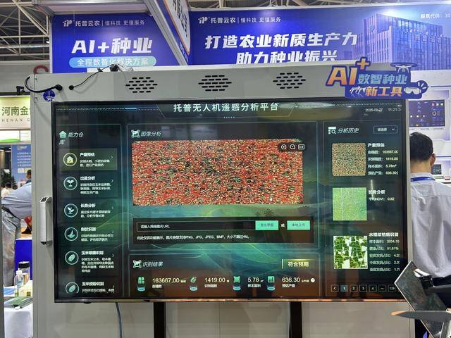 紫色向日葵、多彩胡萝卜、双色火龙果亮相青岛<strong></p>
<p>比特现金价格</strong>，种子盛会变身“未来食物实验室”