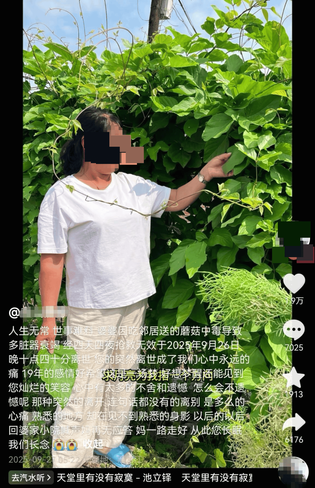 网红发文悼念婆婆：吃了邻居送的蘑菇中毒<strong></p>
<p>LTC价格</strong>，抢救四天四夜死亡！这些蘑菇避毒原则可能是陷阱→