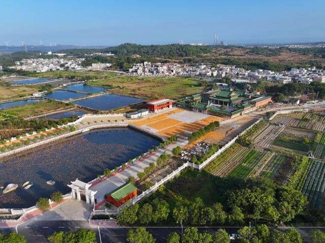 这个经济大省<strong></p>
<p>数字货币交易</strong>，为何多地镇街撤并？