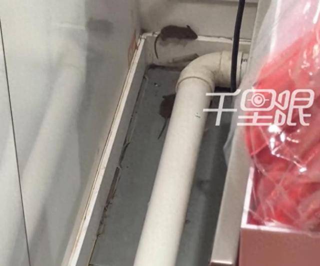 网曝蜜雪冰城一门店有多只老鼠横行<strong></p>
<p>数字货币交易所</strong>，涉事门店员工回应