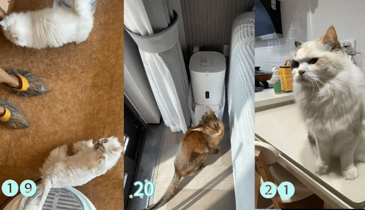 这个需求激增！一男子连接270单<strong></p>
<p>数字货币交易app</strong>，其中一笔收费8100元