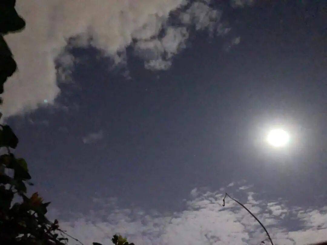 没有什么能阻挡！今天<strong></p>
<p>数字货币交易app</strong>，广西人就是要回家！