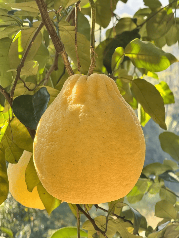 没有什么能阻挡！今天<strong></p>
<p>数字货币交易app</strong>，广西人就是要回家！