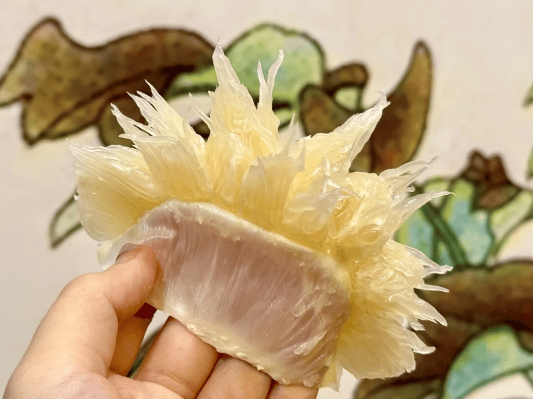 没有什么能阻挡！今天<strong></p>
<p>数字货币交易app</strong>，广西人就是要回家！